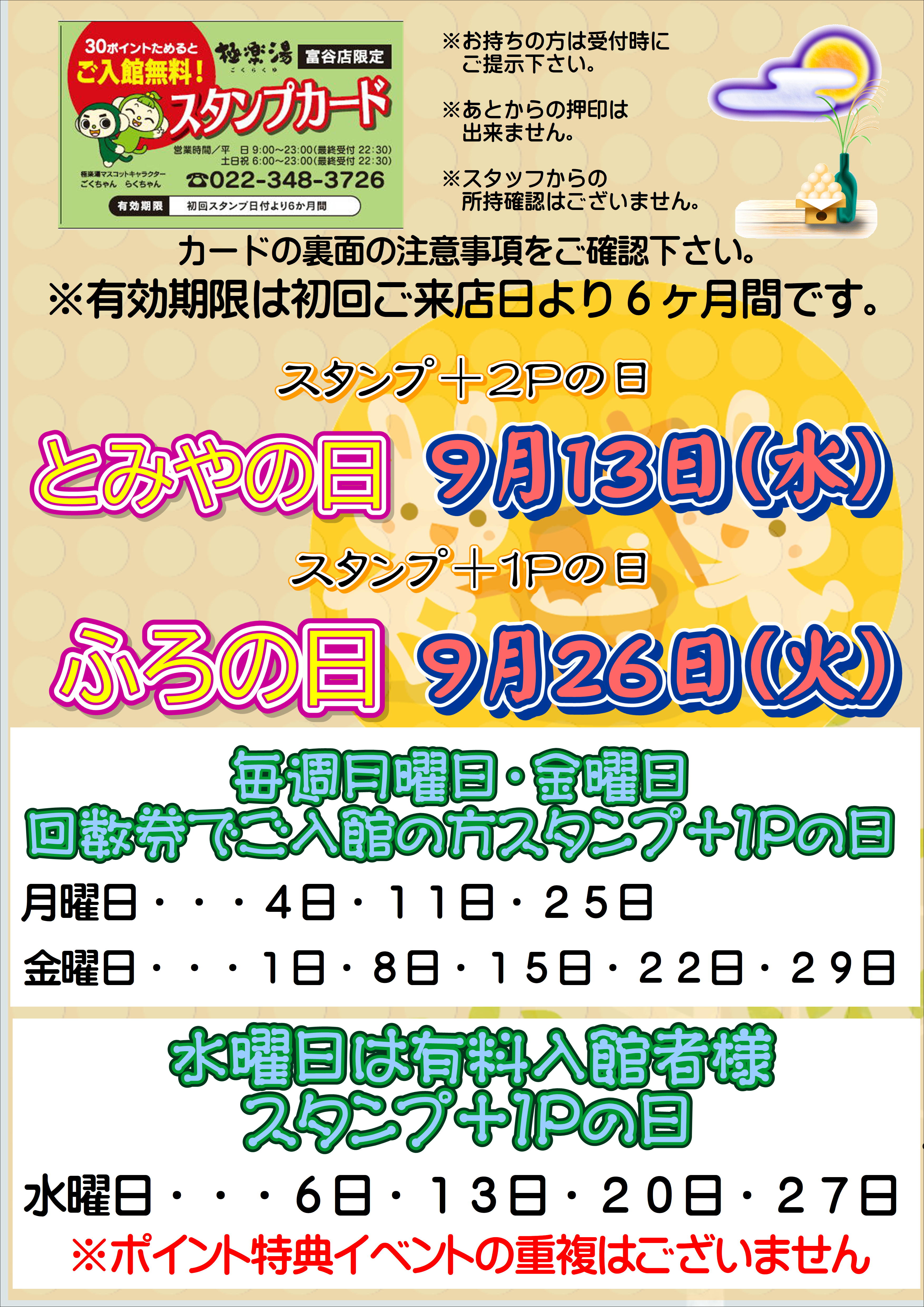 極楽湯 千葉稲毛店 10回分回数券休日1000円 - その他